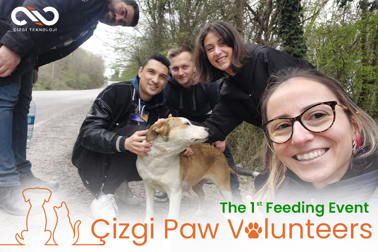 A Feeding Event for Stray Animals with Çizgi Paw Volunteers.